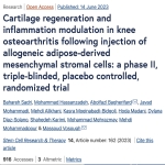 Can cartilage regrow from an injection into an arthritic knee?